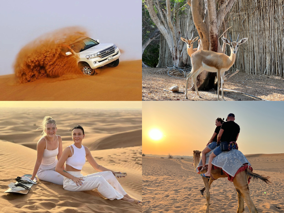 Arabian Luxury Desert Safari Tour Packages & Deals (Nov, 2024)