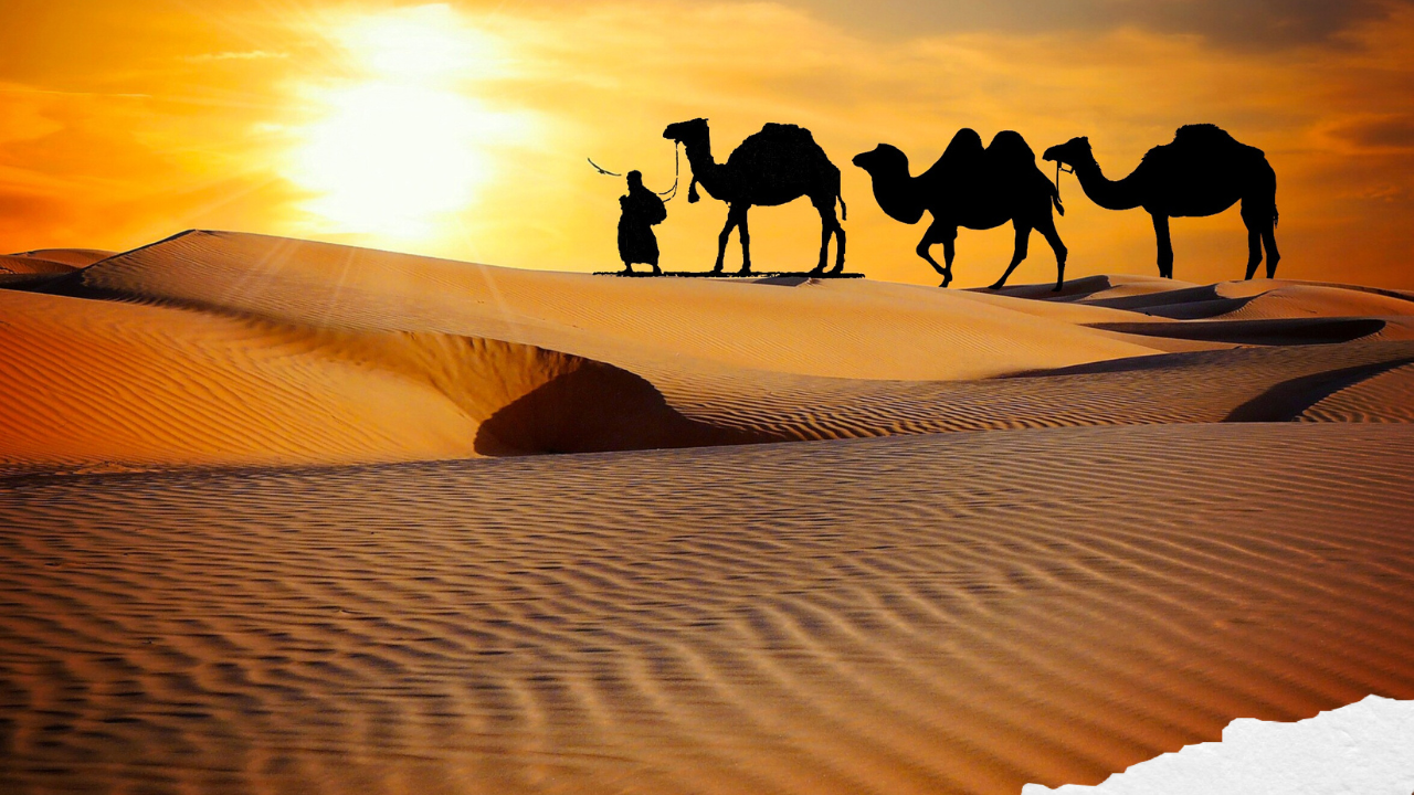 Kickstart 2025 with Exclusive Luxury Desert Safari Deals in Dubai