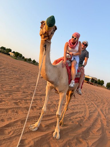 Photo from customer review