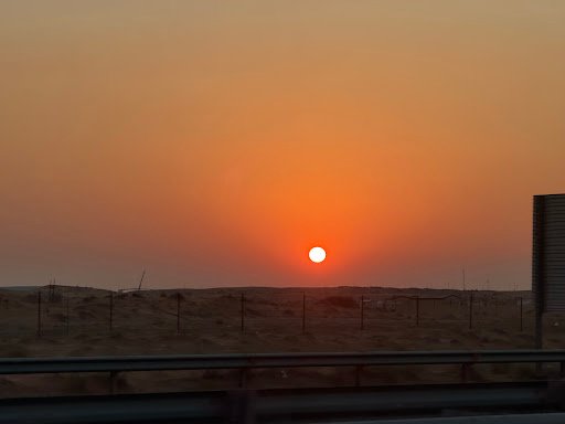 Photo from customer review