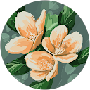 Rukshana Humagain profile picture